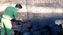 Tác hại rùng mình của cà phê nhuộm... pin