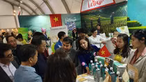 Ngày Việt Nam tại Hàn Quốc 2019