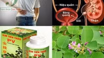 Thu hồi thuốc Kim tiền thảo không đạt chất lượng