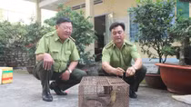 Phát hiện cá thể rắn Hổ chúa quý hiếm tại Đồng Nai