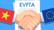 Kỳ vọng và thách thức đối với Việt Nam khi triển khai EVFTA