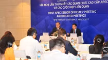 Hoàn tất các hoạt động ở cấp ủy ban chuẩn bị cho APEC SOM 1 