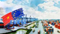 EVFTA – "đòn bẩy" giúp Việt Nam phục hồi nhanh chóng hậu COVID-19 