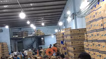 Phá đường dây sản xuất găng tay y tế giả trị giá 3 tỷ đồng