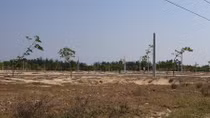 Tìm người bị hại trong vụ lừa đảo bán đất “dự án ảo” ở Bình Thuận
