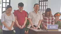 4 anh em trong một gia đình lừa đảo lĩnh 27 năm tù