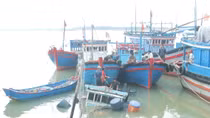 Truy tìm tàu vận tải biển đâm chìm tàu đánh cá của ngư dân Bình Thuận