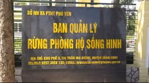  Khởi tố nguyên Phó Giám đốc Ban quản lý rừng phòng hộ Sông Hinh