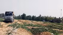  Chặn xe ép người mua dưa trả nợ vay với lãi suất cao cho người trồng
