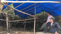 Vô cớ hành hung kiểm lâm và nhân viên bảo vệ rừng 