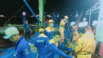 15 ngư dân Bình Định cùng tàu đánh cá đã được cứu nạn an toàn