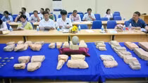Công bố kết quả sơ bộ khai quật khảo cổ di tích Đồng Miễu ở Phú Yên