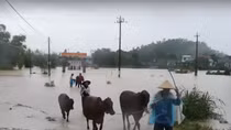 Gần 1.500 căn nhà ở Bình Định ngập trong mưa lũ
