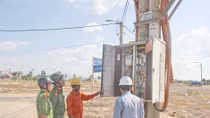 Liều lĩnh cắt trộm tuyến cáp lực tổng hạ áp của điện lực