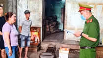 Khởi tố thêm hai bị can trong vụ phá rừng quy mô lớn ở Phú Yên 