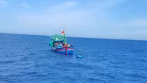 Tàu cá ngư dân Bình Định cứu nạn một người Philippines trôi dạt trên biển