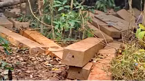 Truy đuổi lâm tặc, kiểm lâm viên bị đánh gãy ngón tay