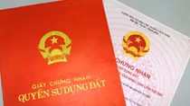 Phê chuẩn khởi tố nguyên Chủ tịch phường Phú Đông cùng 4 cộng sự