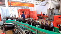 Sabeco dự kiến chia cổ tức 35% trong 2017