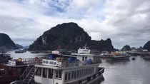 Quảng Ninh đề nghị giảm niên hạn sử dụng với đội tàu du lịch 