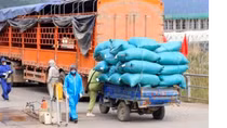 “Thẻ ưu tiên” cho phương tiện chở hàng dễ hỏng qua vùng dịch