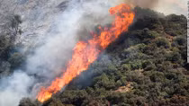 Cháy rừng ở California với nguyên nhân không ai ngờ tới