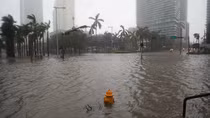 Siêu bão Irma nhấn chìm miền Trung Florida