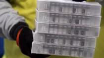 Lô vaccine COVID-19 đầu tiên lên đường phân phối khắp nước Mỹ