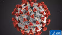 Phát hiện 40 biến thể của virus Corona 