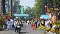 Đường hoa độc đáo trong bệnh viện 