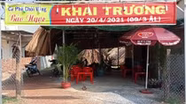 Vừa khai trương, chủ quán cafe bị bắt vì môi giới mại dâm