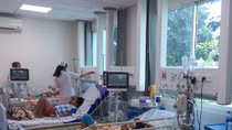 Phát hiện 4 ổ dịch sốt xuất huyết tại TP Hồ Chí Minh