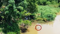 Phát hiện thi thể một người đàn ông trôi trên Sông Bé 