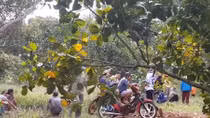 Hai vụ án mạng sau tiệc rượu và ma túy