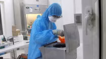 BN4.514 nhiễm biến chủng Ấn Độ B.1.617.2