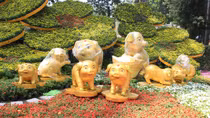 Hội hoa Xuân Kỷ Hợi 2019 diễn ra trong 12 ngày