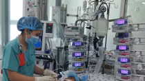Hãy cứu giúp bé trai 12 tuổi bị viêm cơ tim cấp rất nguy kịch