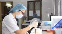 Nghiên cứu vaccine sốt xuất huyết tại Việt Nam đã hoàn tất