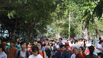 Hàng ngàn người đến Thảo Cẩm Viên ngày nghỉ Tết Dương lịch 2019