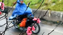Đêm nay, miền Bắc đón mưa rét
