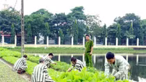 Nữ quản giáo cảm hóa phạm nhân bằng lòng nhân ái