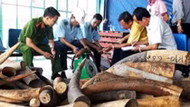 Điều tra, xử lý vụ cán bộ Hải quan đánh tráo, chiếm đoạt tang vật