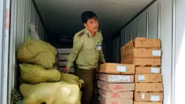 Phát hiện trên 2 tấn thực phẩm đông lạnh không hóa đơn chứng từ