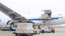 Đơn giản hóa thủ tục cấp phép kinh doanh vận chuyển hàng không