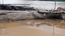 Trắng tay vì thủy điện xả lũ