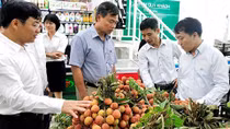 Cơ hội, thách thức của doanh nghiệp khi tiếp cận Hiệp định EVFTA