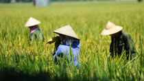 Bắc và Trung Bộ nắng như đổ lửa, Hà Nội trên 37 độ C