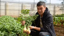 "Ông chủ trẻ" vườn rau sạch hữu cơ Nhật Bản
