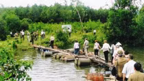 Một Brest ở Vực Quành của người Việt đang dần trở thành phế tích
