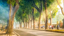 Nắng vàng trải khắp miền Bắc